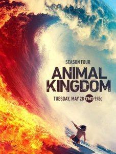ดูซีรี่ย์ออนไลน์ ซีรี่ย์ฝรั่ง Animal Kingdom Season 4 (2019)