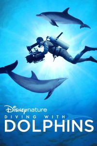 ดูหนังฟรีออนไลน์ Diving with Dolphins (2020) มาสเตอร์ HD