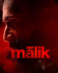 Malik (2021)