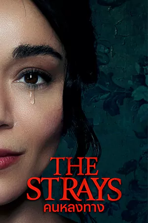 ดูหนังฝรั่ง The Strays (2023)