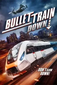 ดูหนัง Bullet Train Down (2022)