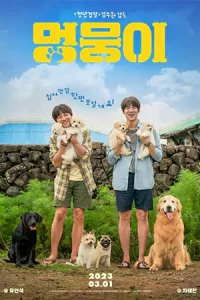 ดูหนังเกาหลี My Heart Puppy (2023)
