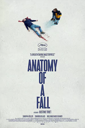 ดูหนังฝรั่ง Anatomy of a Fall (2023) เขาบอกว่าเธอฆ่า HD เต็มเรื่อง
