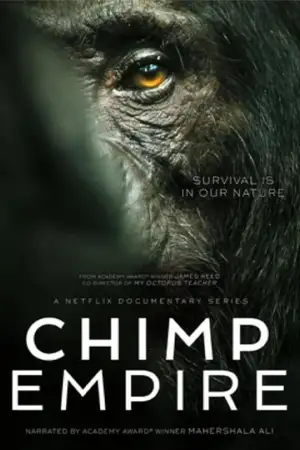 ดูซีรี่ย์ Chimp Empire (2023) อาณาจักรชิมแปนซี (จบเรื่อง)