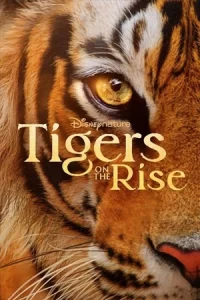 ดูหนังออนไลน์ฟรี Tigers on the Rise (2024)