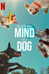 ดูหนังออนไลน์ Inside the Mind of a Dog (2024)